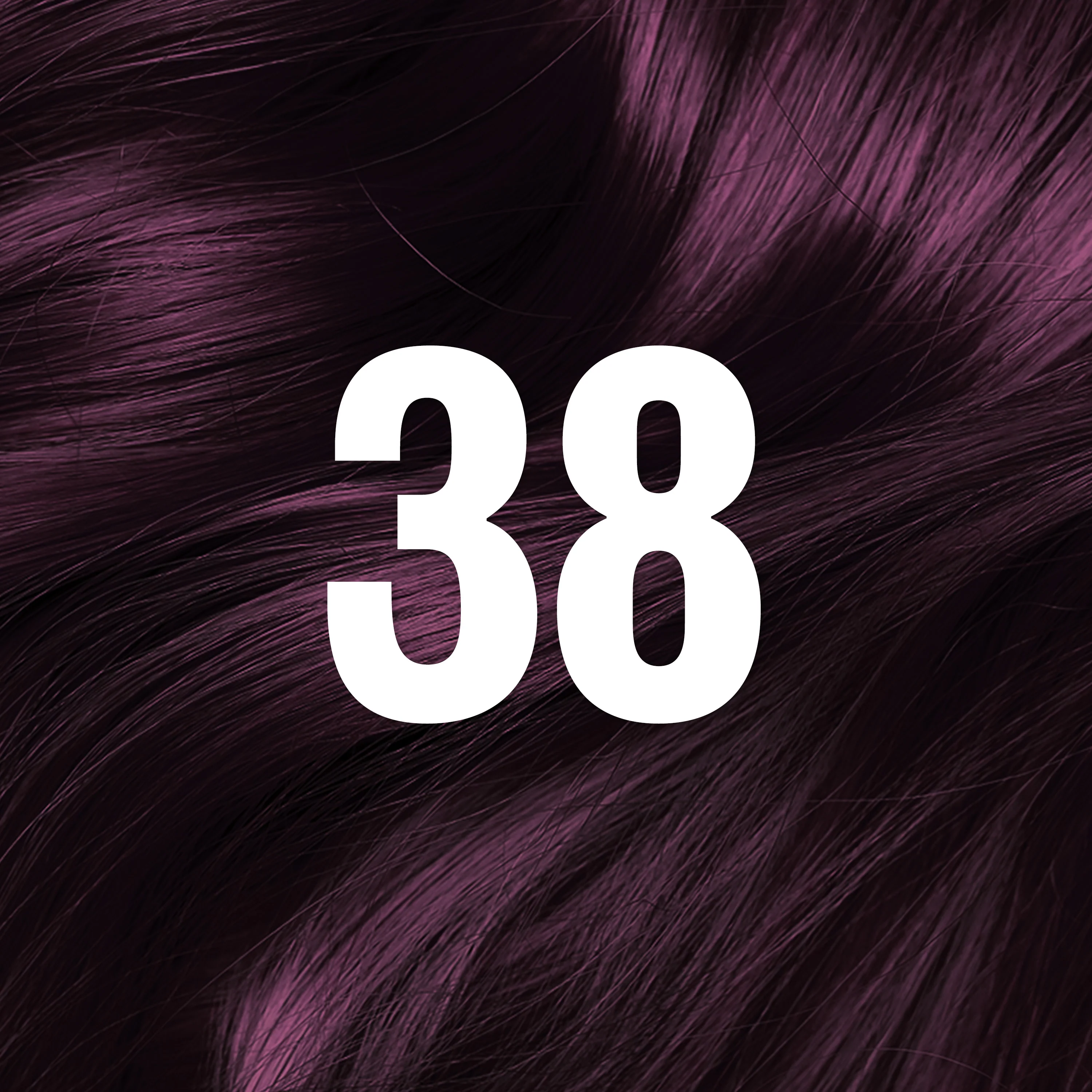 Thumbnail 204