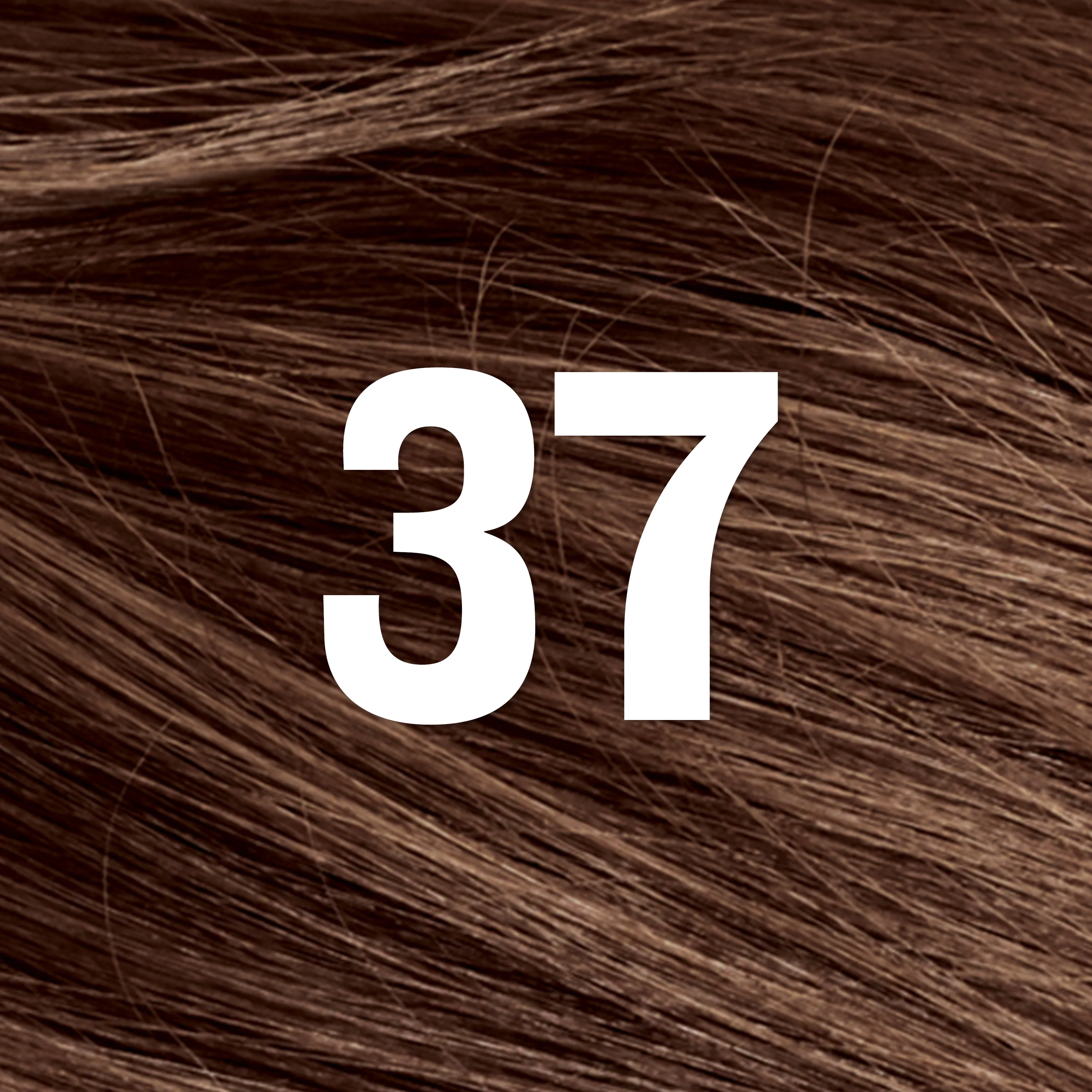 Thumbnail 43