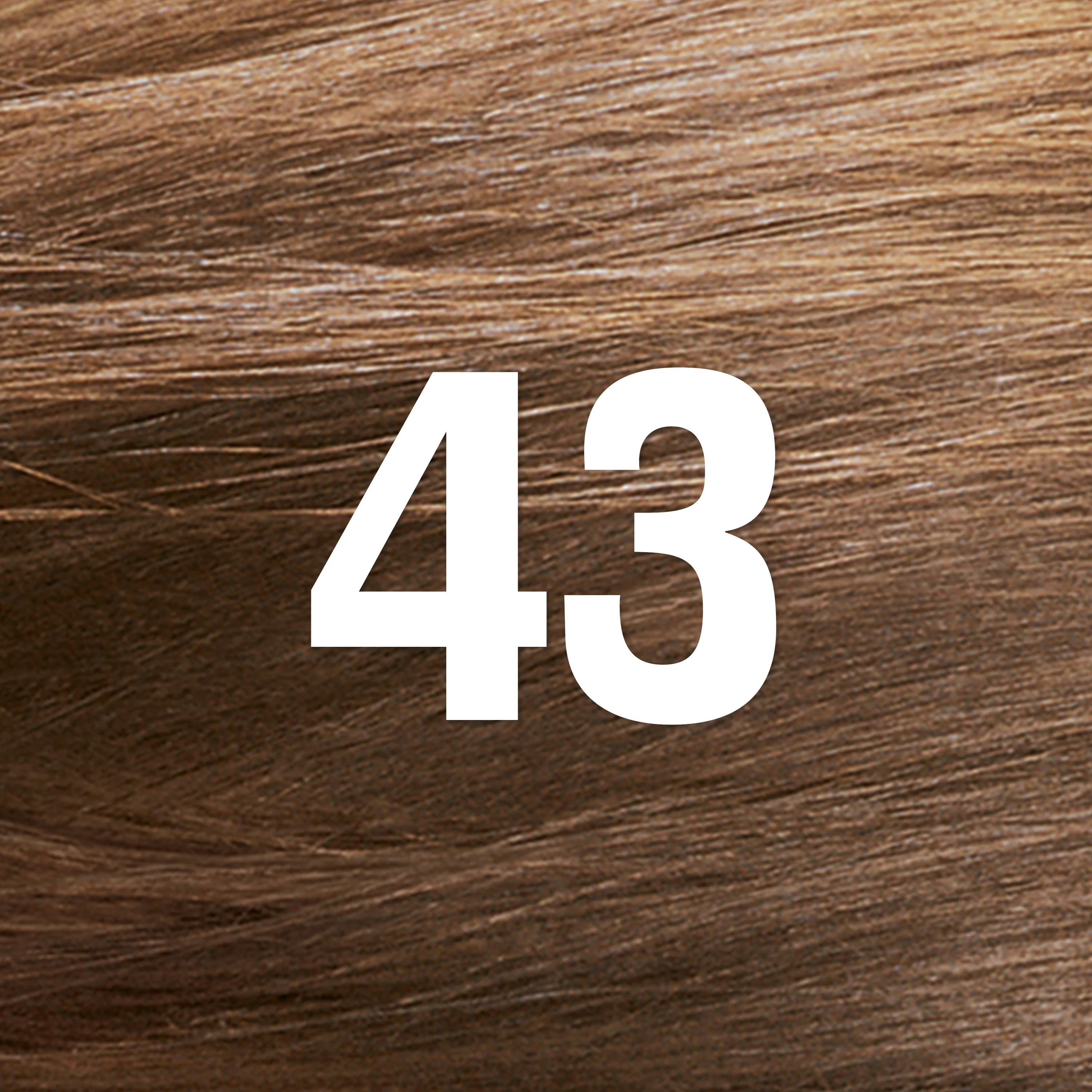 Thumbnail 47