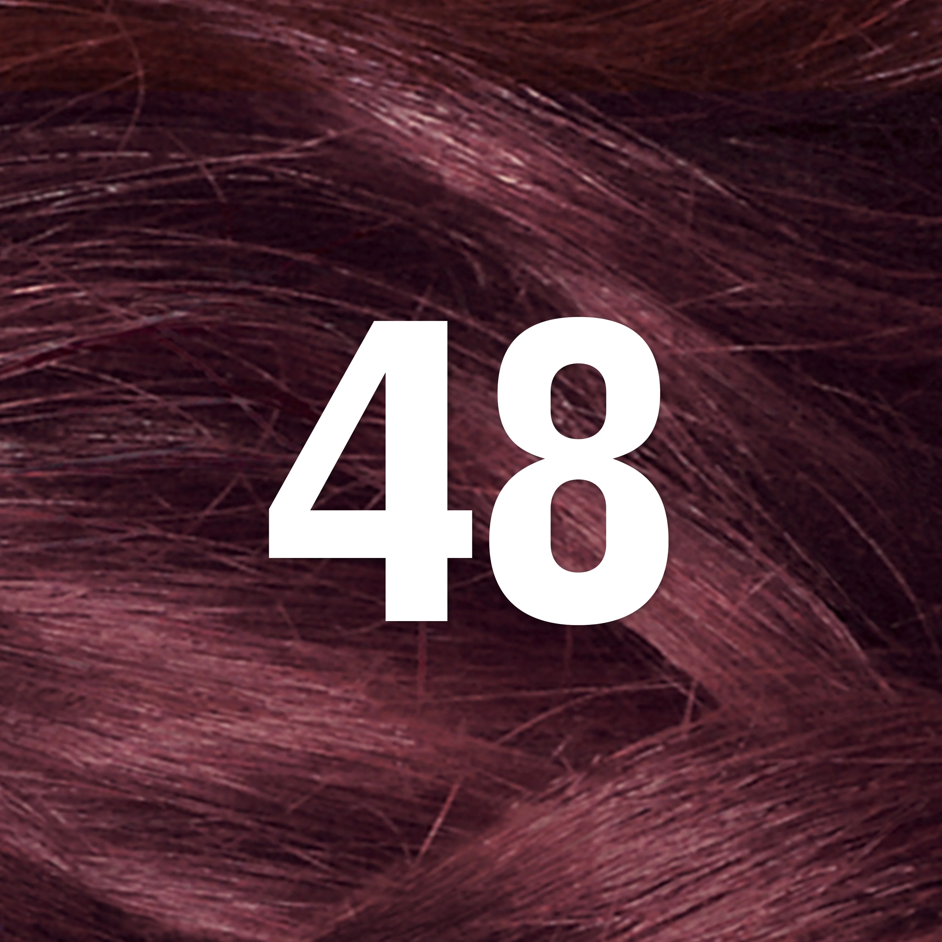 Thumbnail 51