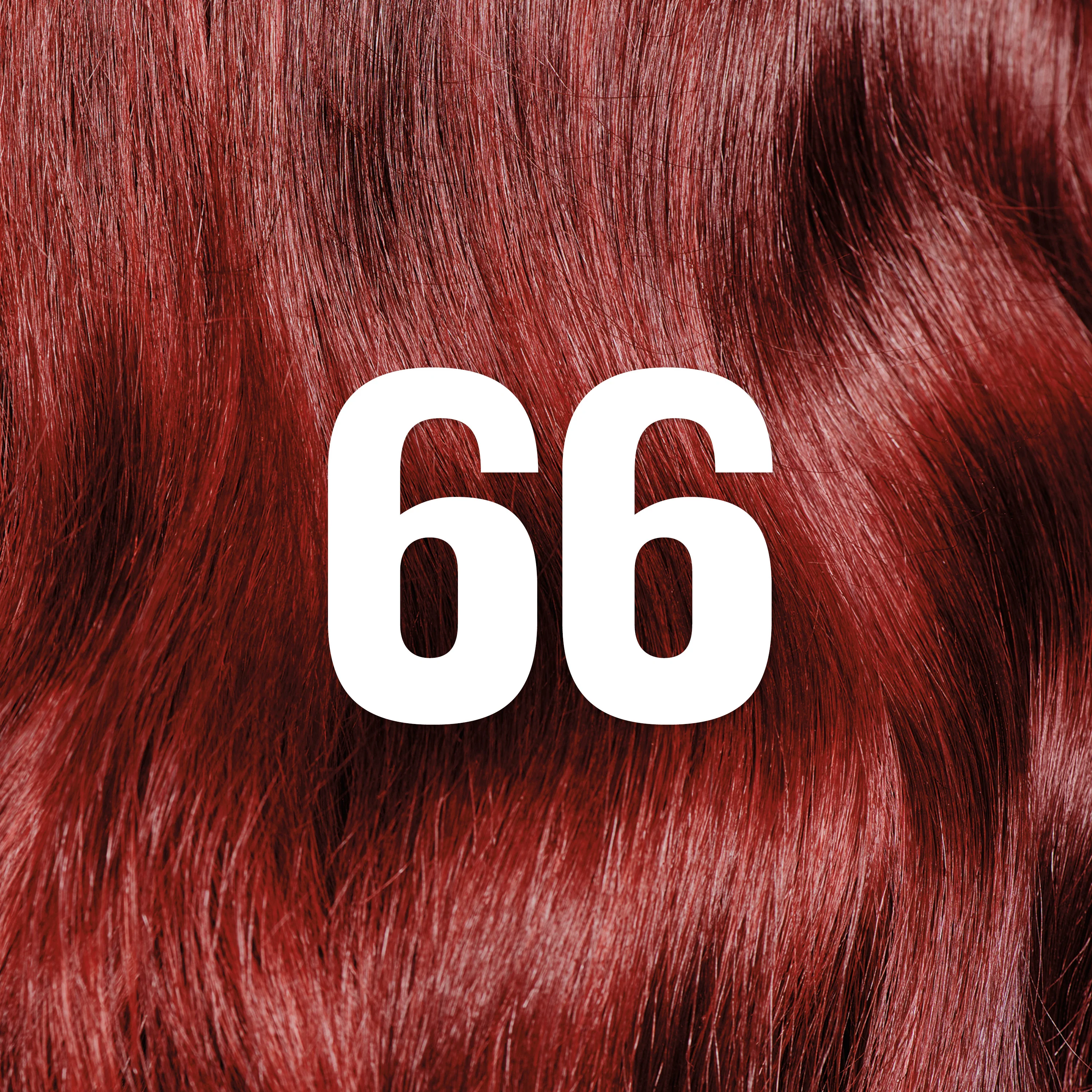 Thumbnail 64